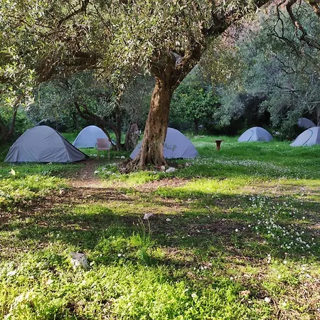 مكان تخييم Gjipe Eco *