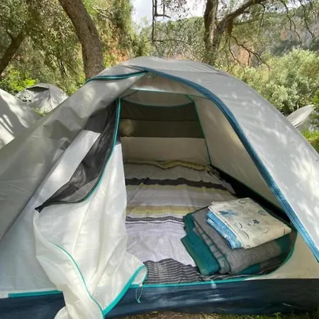 Gjipe Eco 2 *